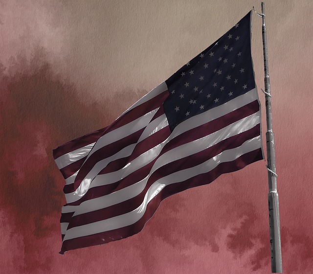 American Flag with a dusky background
